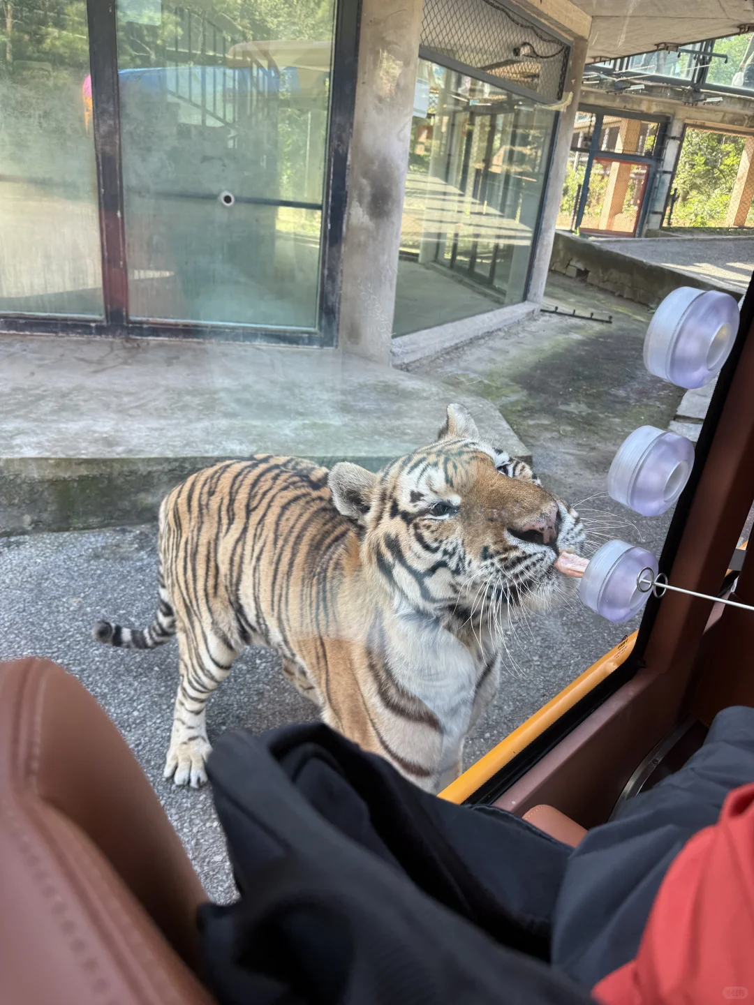 周末特种兵之大连