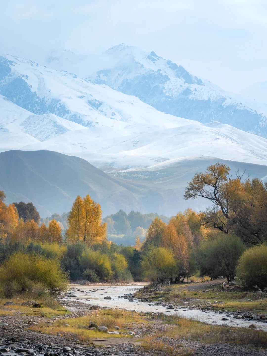 青甘环线｜这个村子真是美得犯规❗️