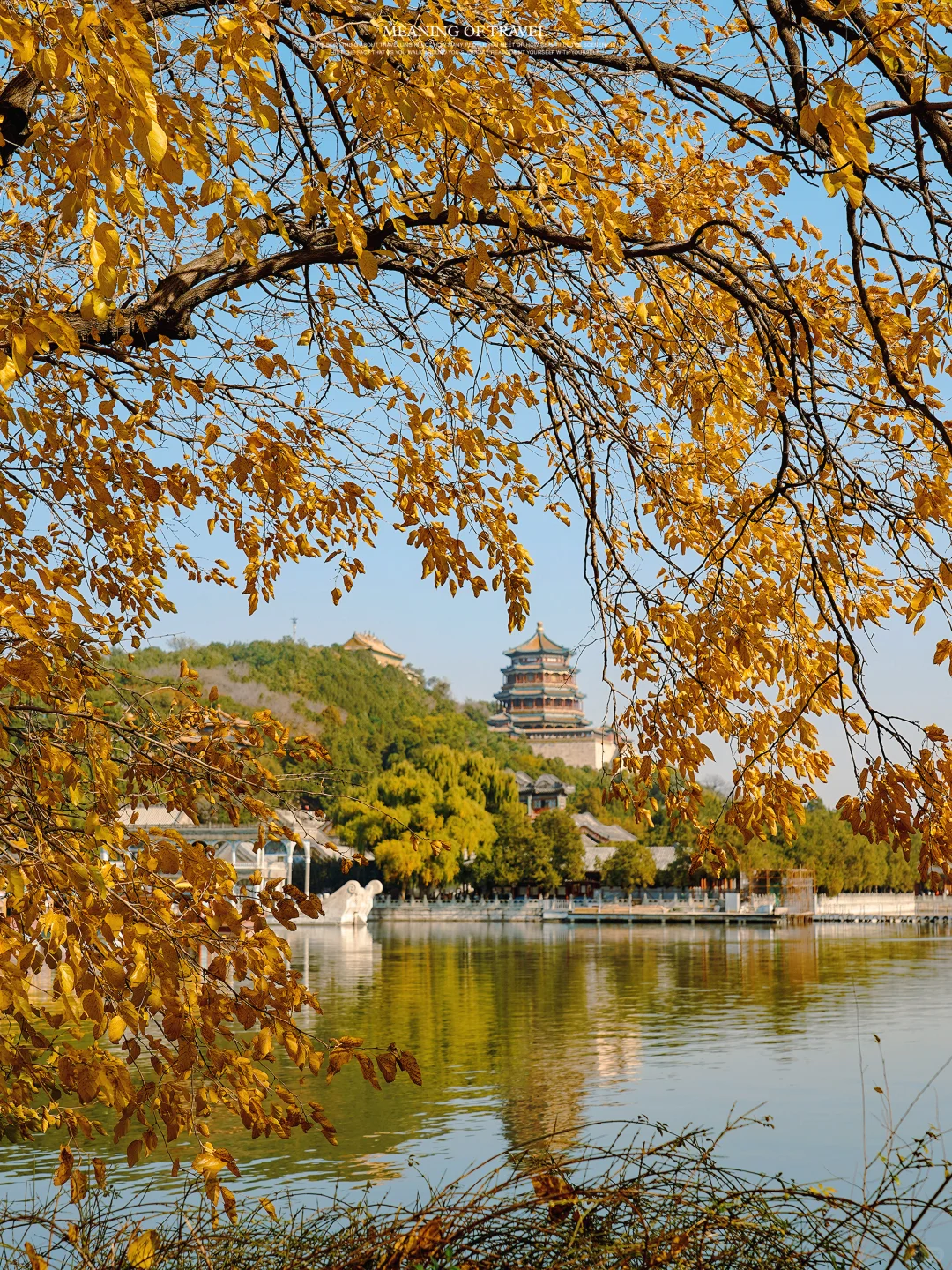 颐和园的秋天上线，北京的秋就真来啦‼️