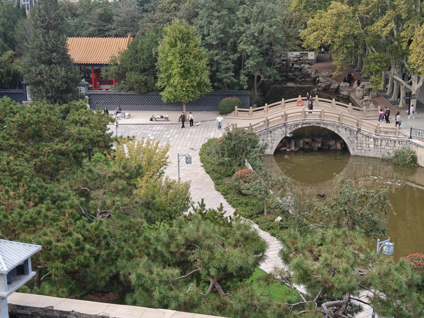 谁认识这三个字