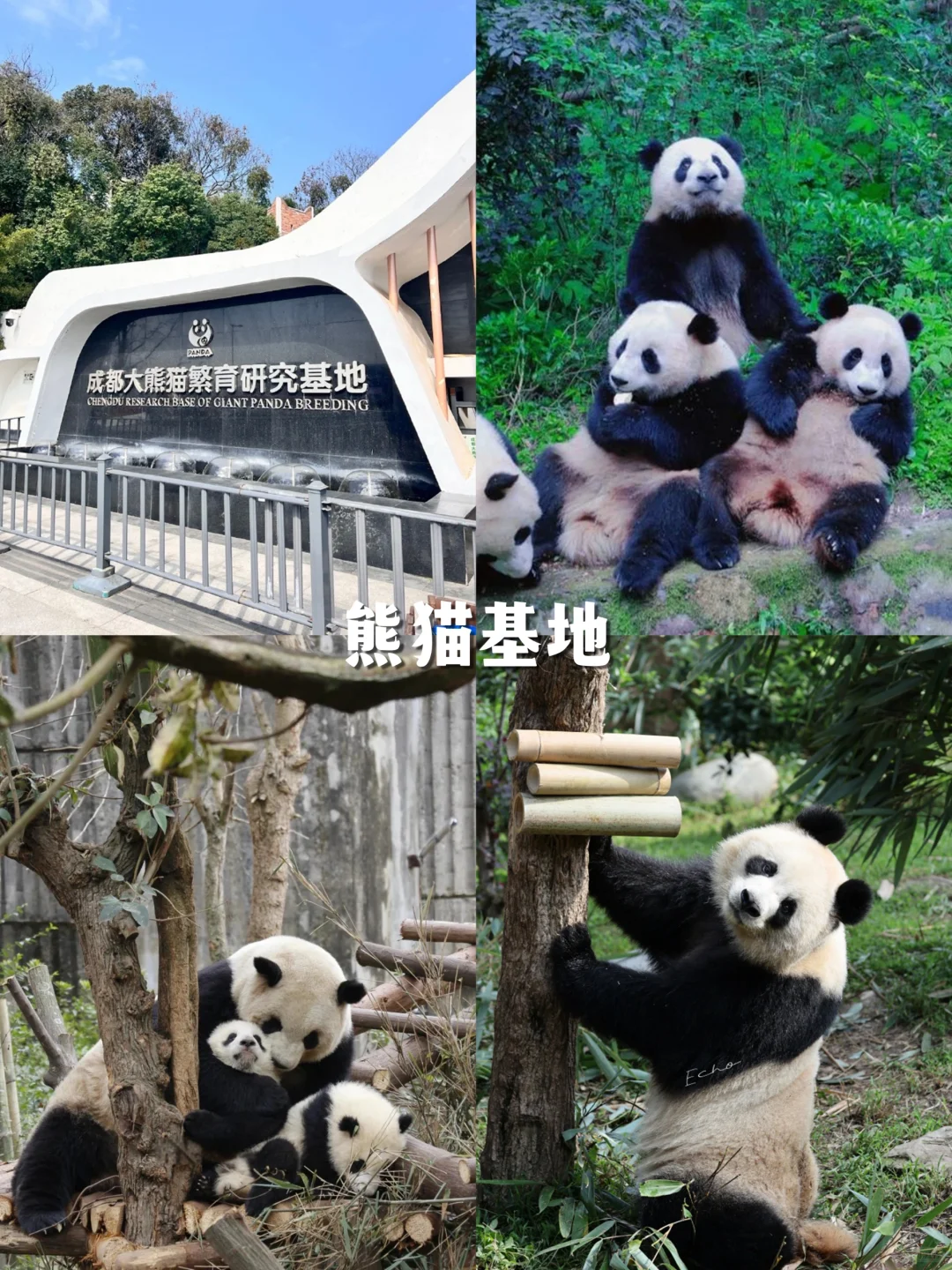 四川必去12大景点,新手闭眼冲不踩雷!