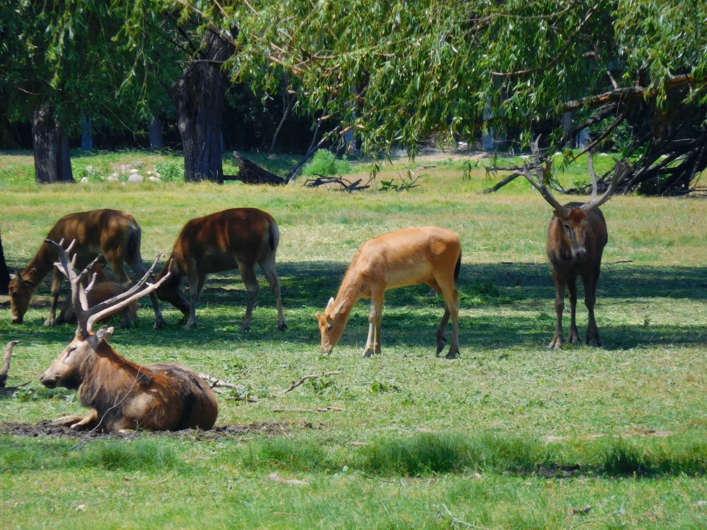 北京，我最推荐的三个公园！