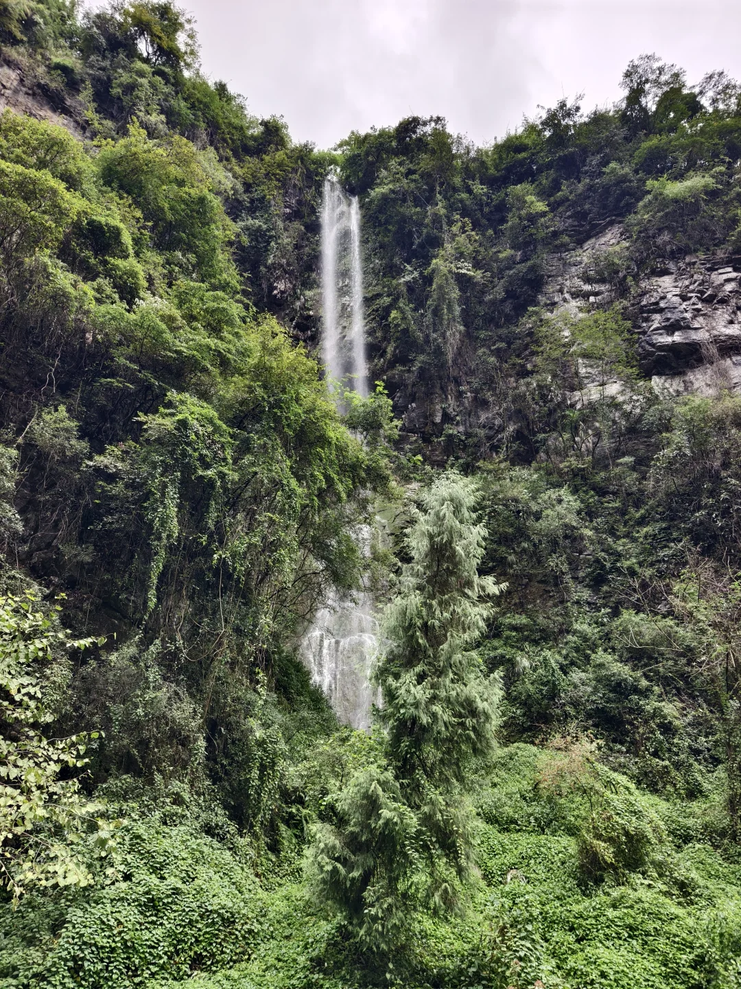 国内旅游现在急需整治的地方