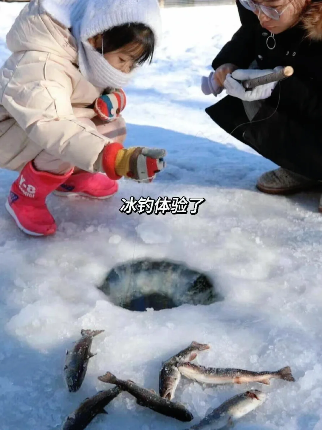 和闺蜜去了长白山旅游,这酒店比瑞士还美!