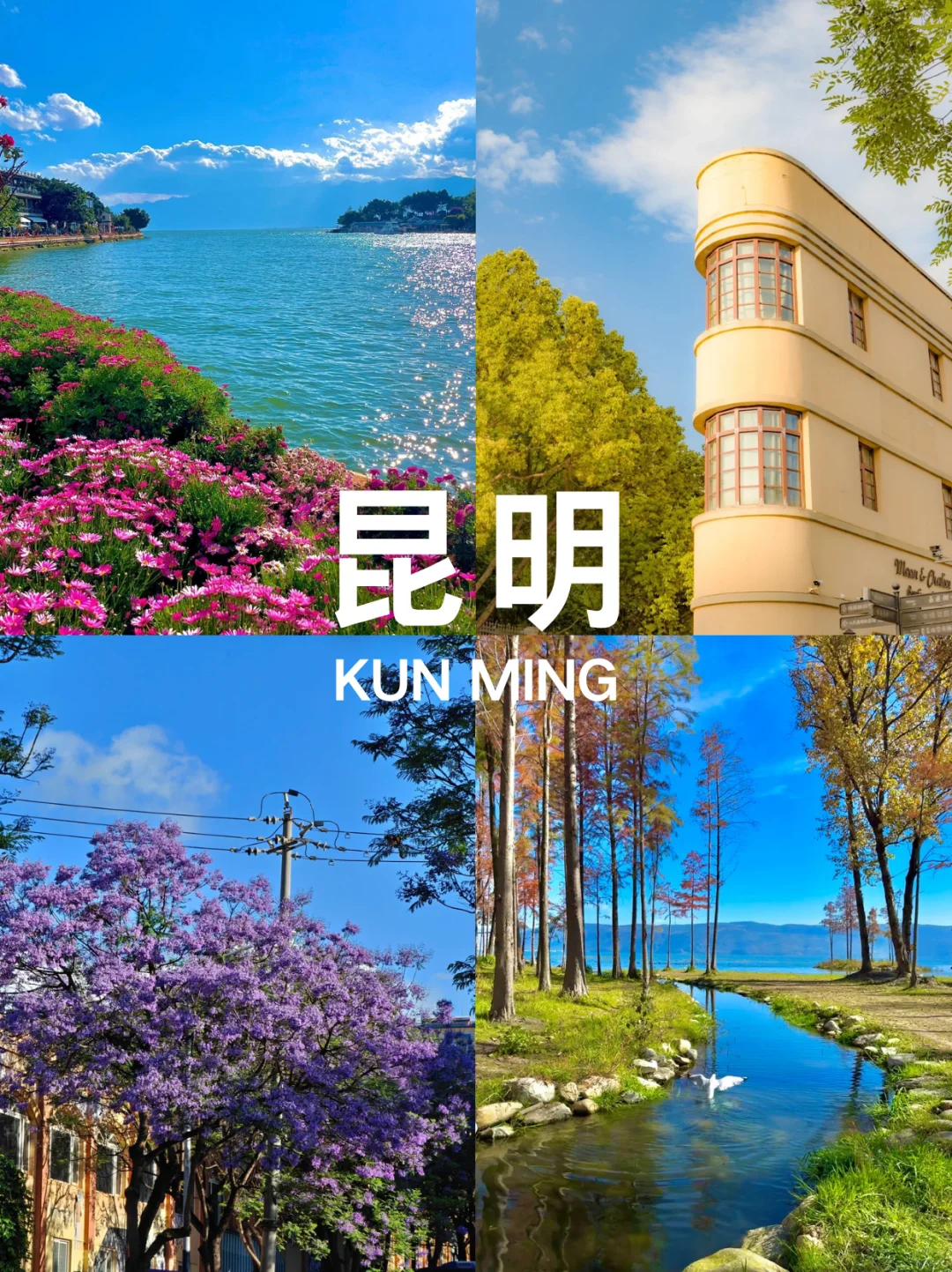 中国这 10 大热门旅游城市，去了就爱上