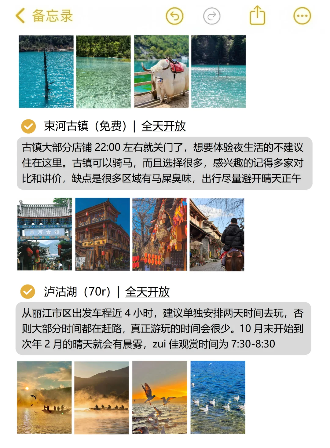 本J人做的云南旅游攻略已经next level了