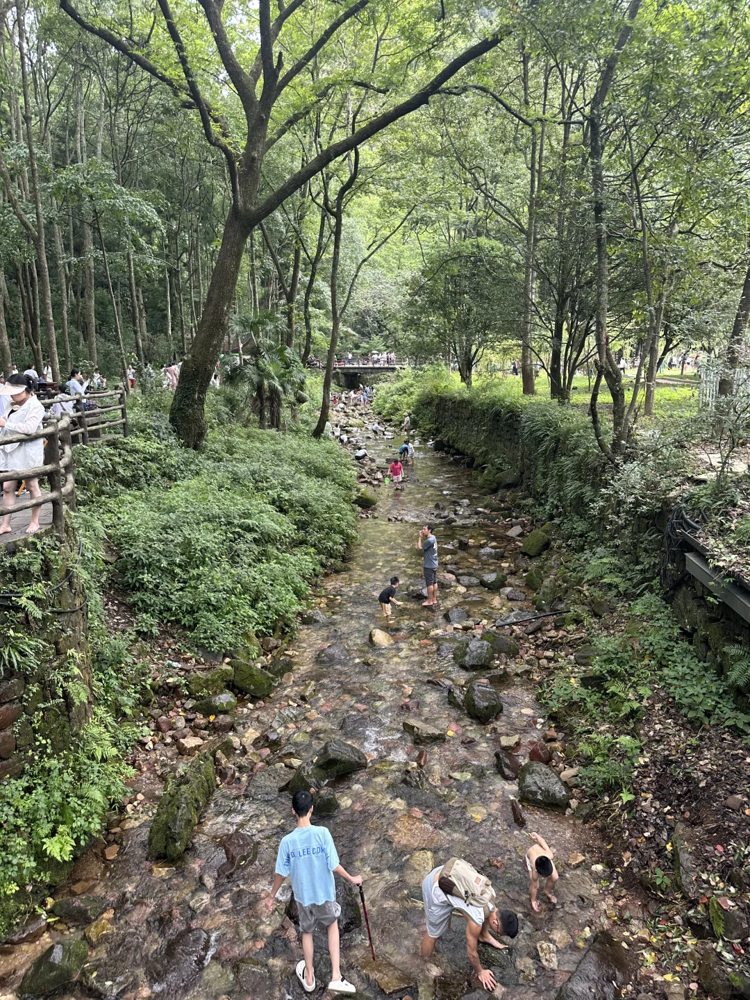 武陵源景区，最好玩的还是金鞭溪！