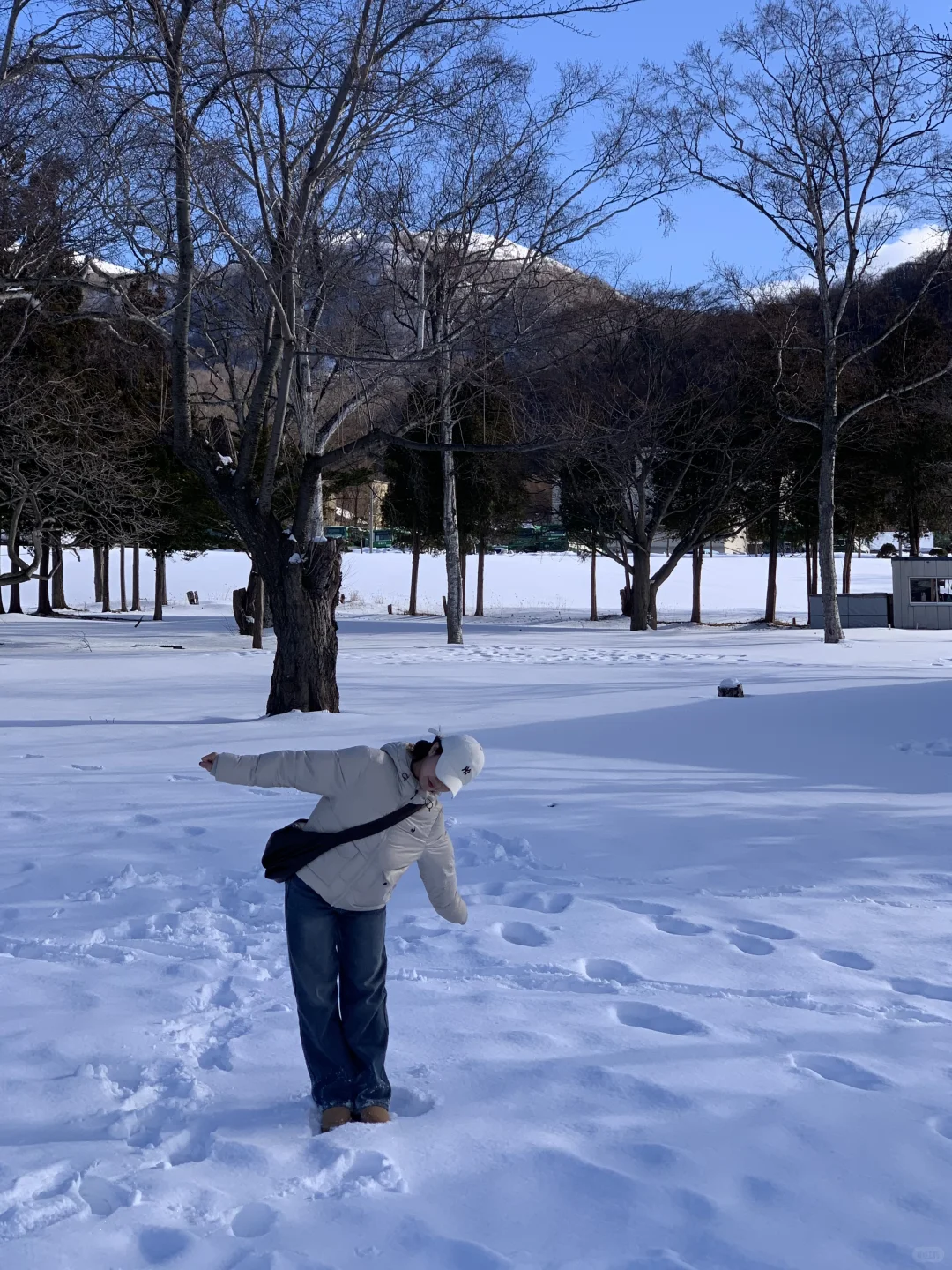 去北海道一定要去！！！！！！