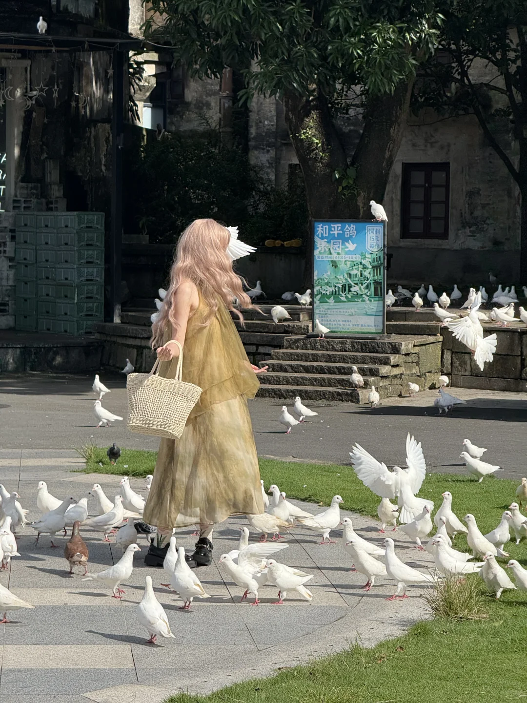 Live实拍!我最爱的民国风宝藏小镇出现了!!