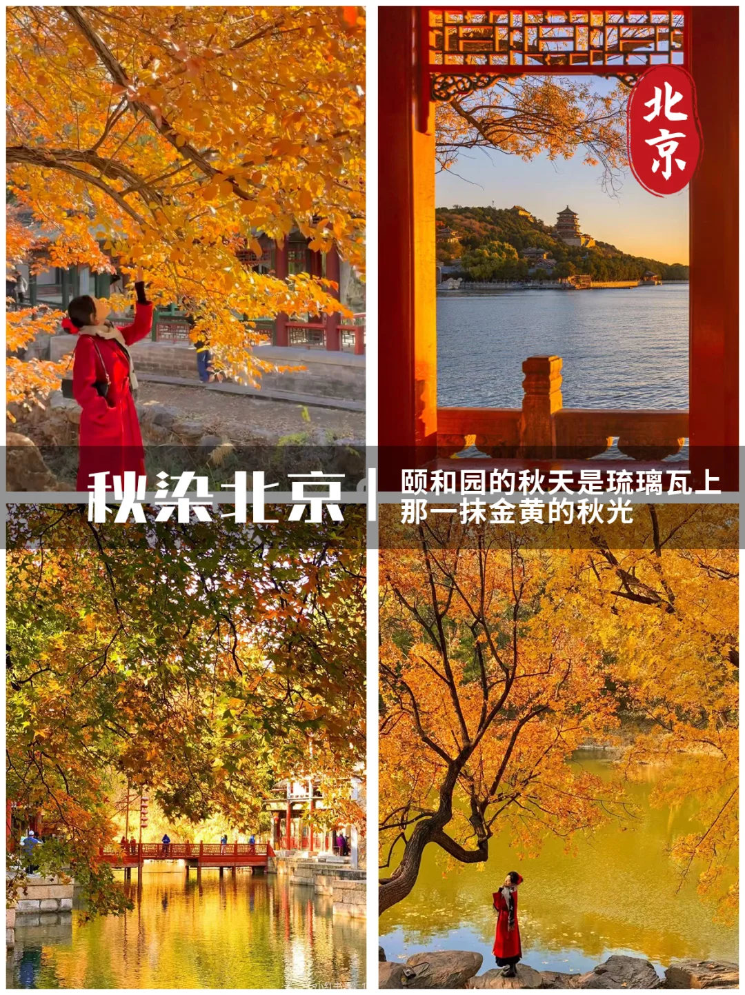 浙江秋假旅游目的地推荐！🔥