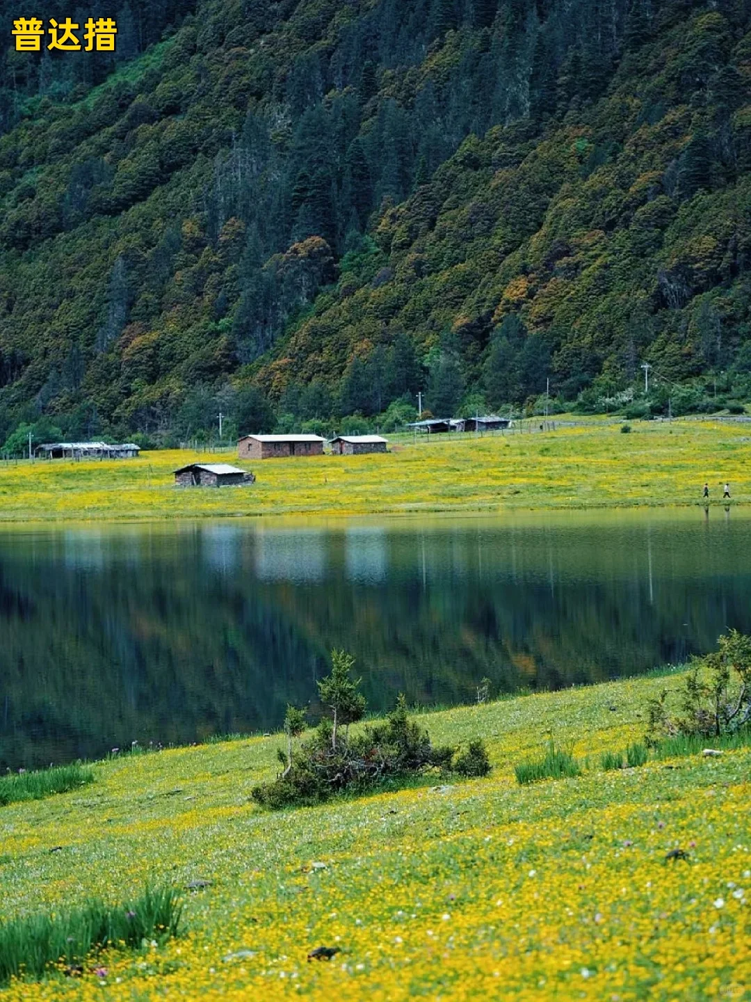 🌿国内8个超治愈旅行地