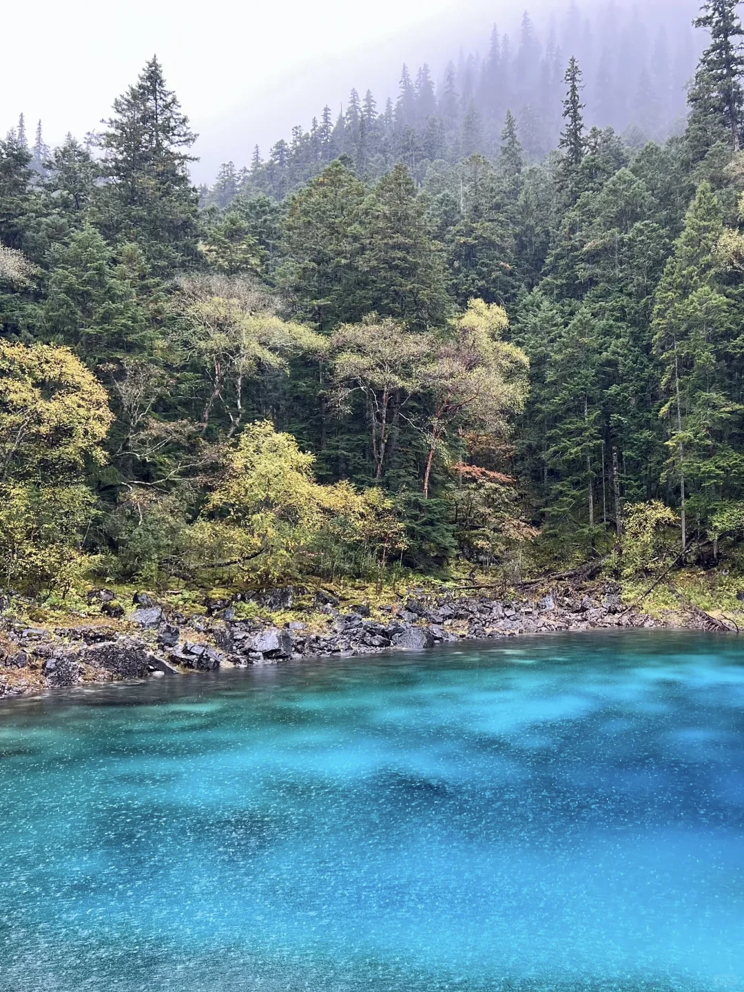 10.20📍九寨沟现状，已崩溃😫真心建议慎重。。
