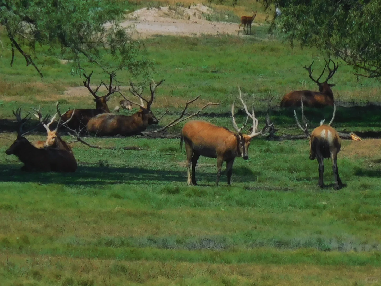 北京，我最推荐的三个公园！