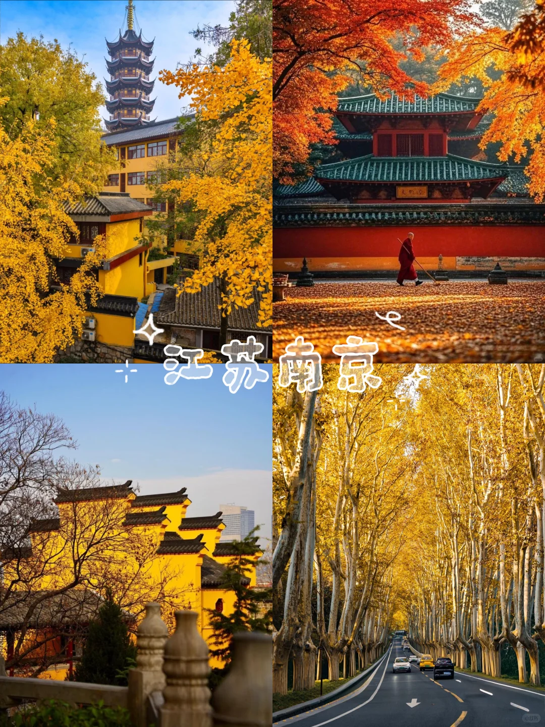 🍁10-11月旅游清单|4个城承包你的秋天!