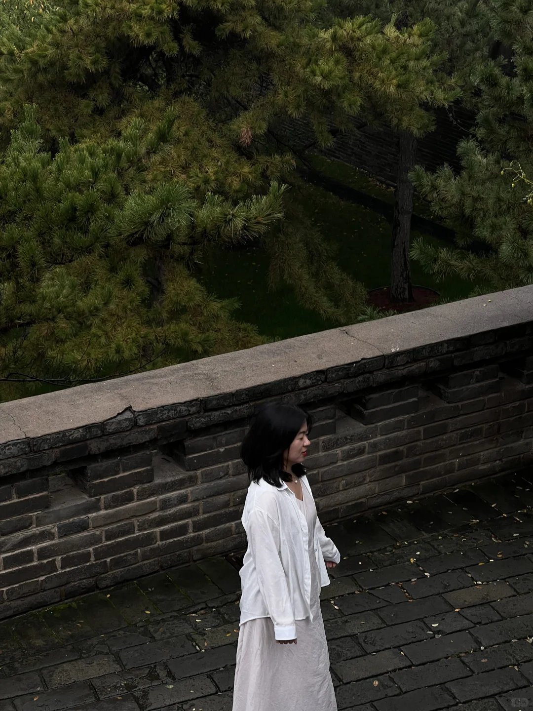 邯郸丛台| 🌧️雨水洗过的古台也太绝了吧！