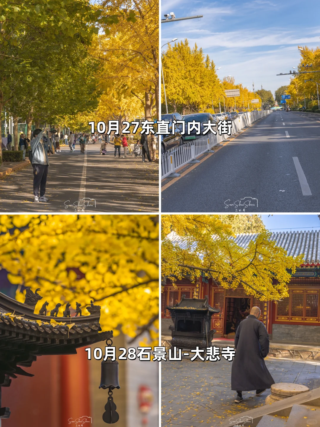 安排一个月！北京赏秋时间顺序与机位大全❤