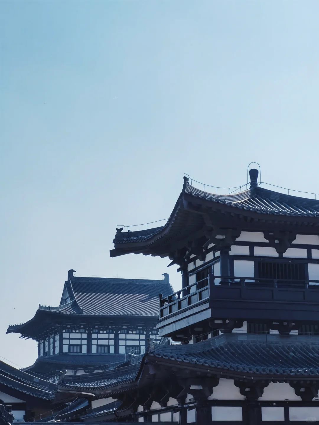 朋友圈问疯了❗️还以为我们出国了‼️