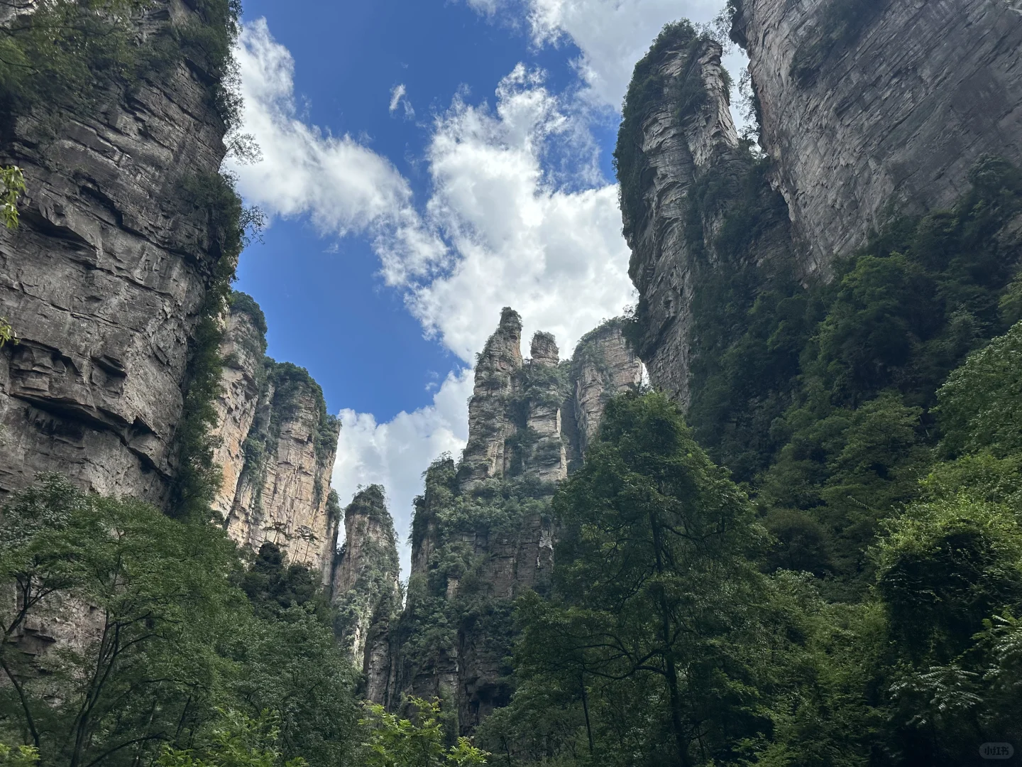 武陵源景区，最好玩的还是金鞭溪！