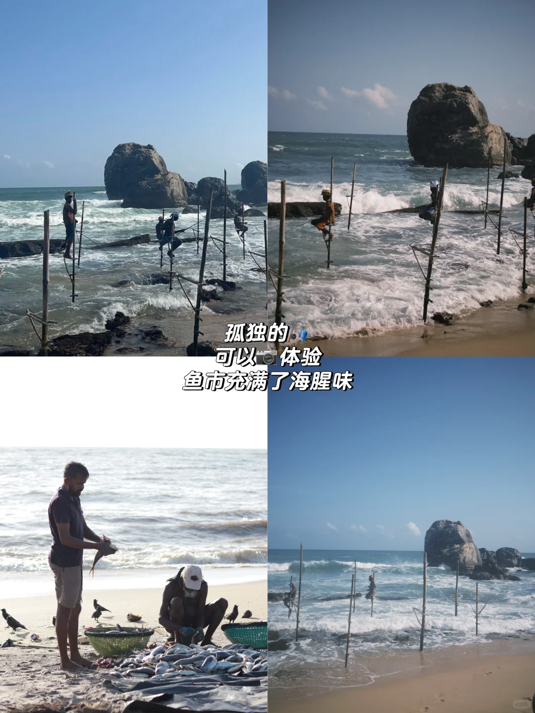 斯里兰卡跟团游回来，生气中能劝一个是一个