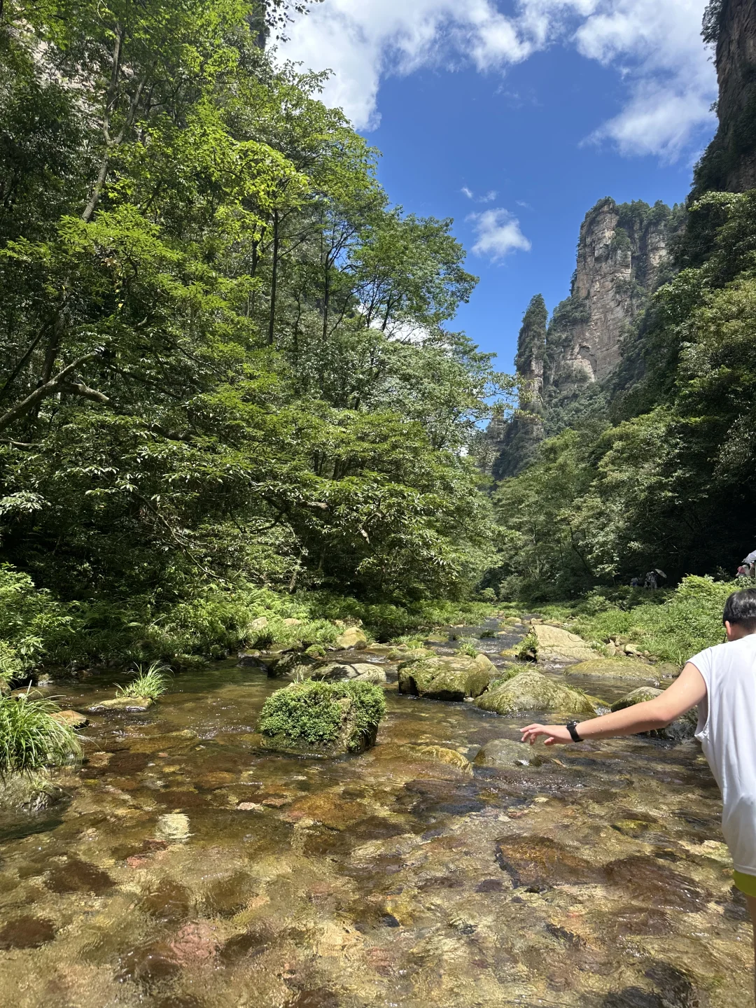 武陵源景区，最好玩的还是金鞭溪！