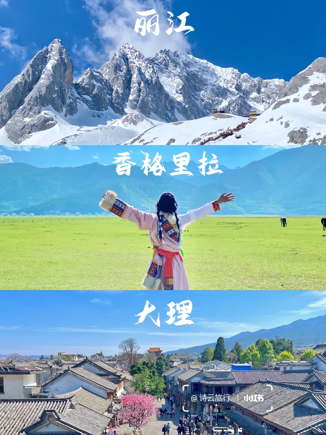 快来云南🔥七天花了1880💰包吃包玩包省心！