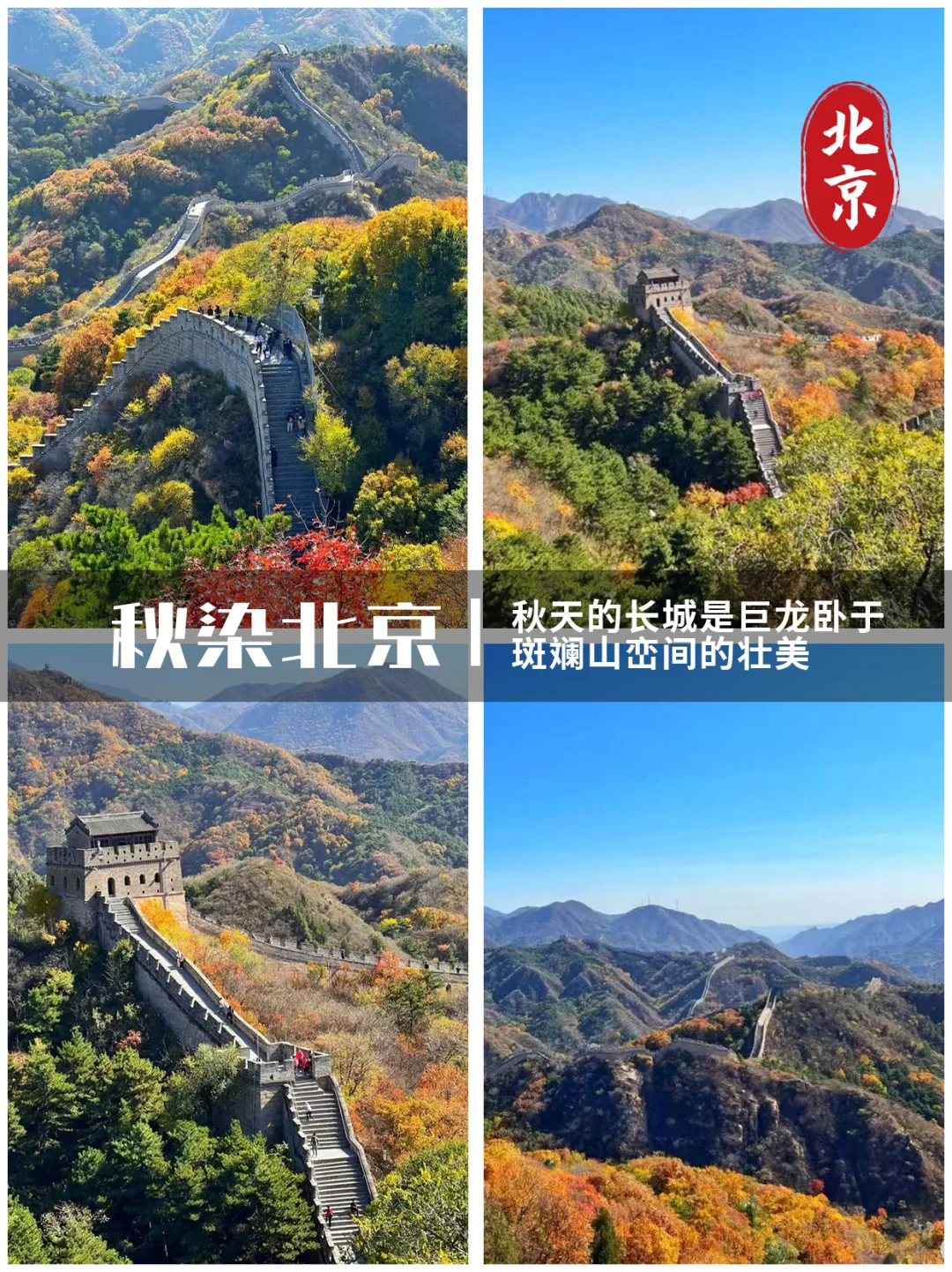 浙江秋假旅游目的地推荐！🔥