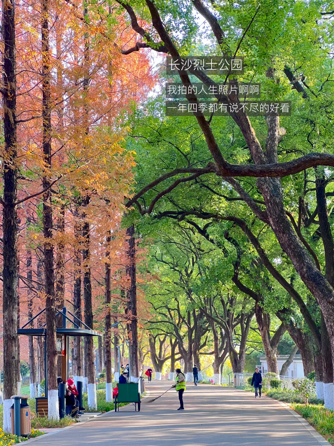 长沙最好的地方都是免费的…