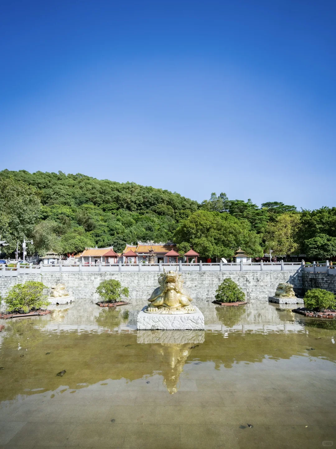 国庆反向游,深圳10个宝藏景点,人少景美免费