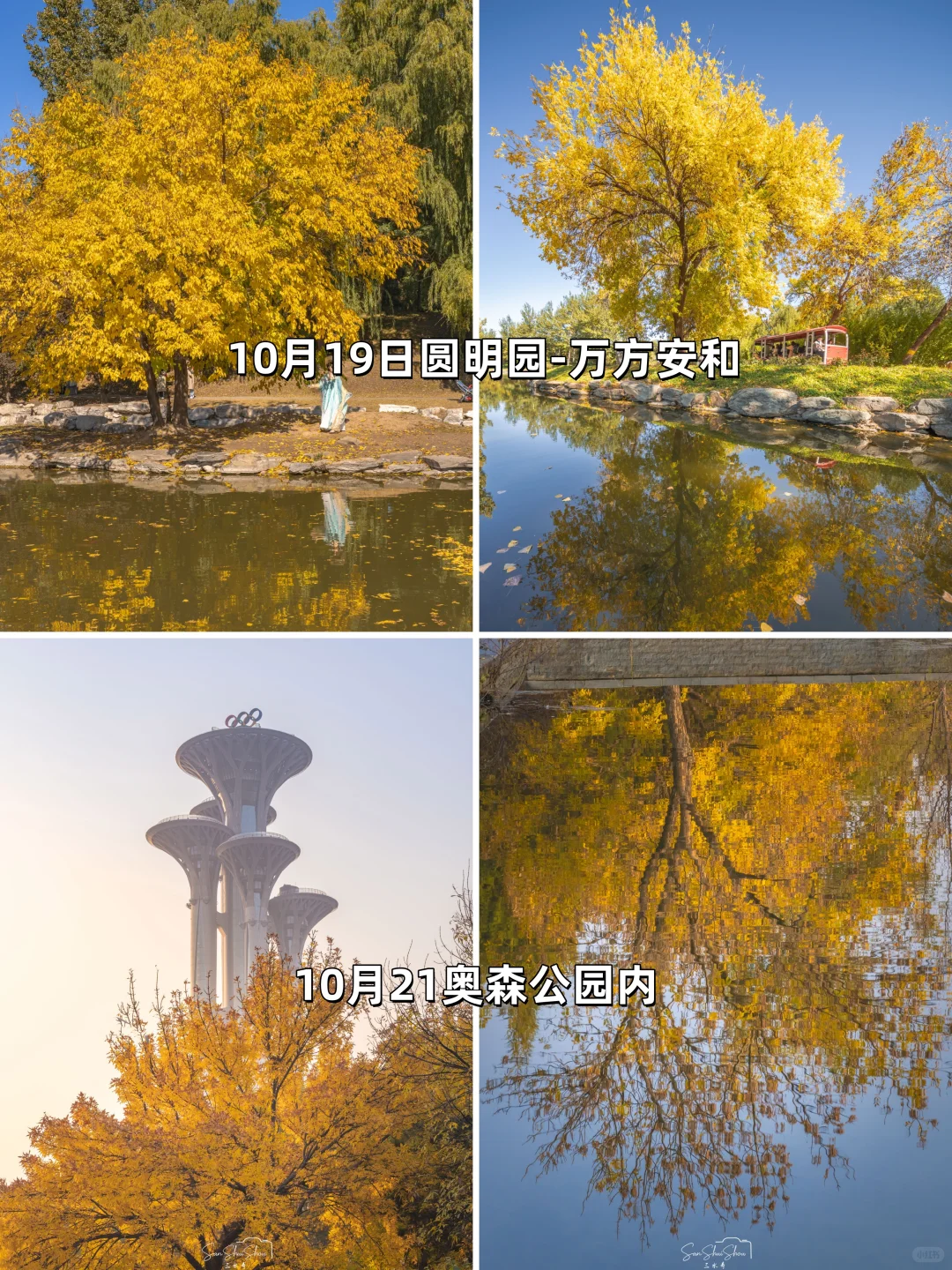 安排一个月！北京赏秋时间顺序与机位大全❤