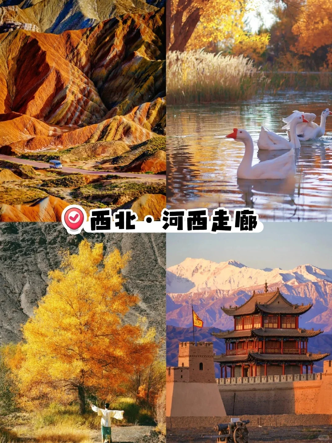 一生必去❗️国内8⃣大超美赏秋目的地