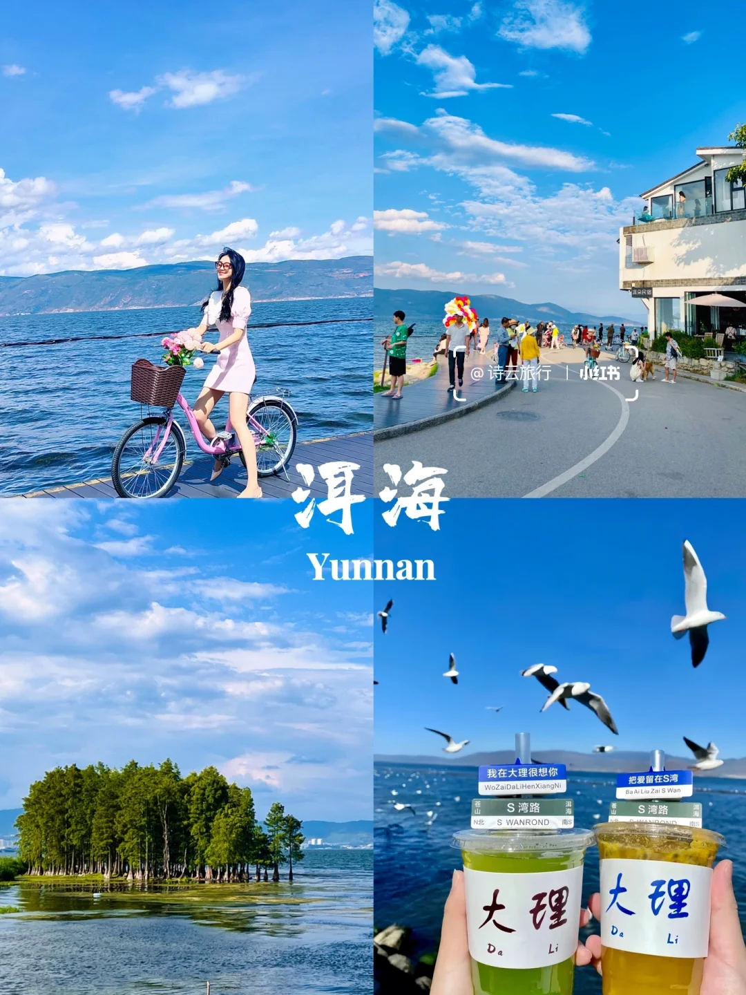 快来云南🔥七天花了1880💰包吃包玩包省心！
