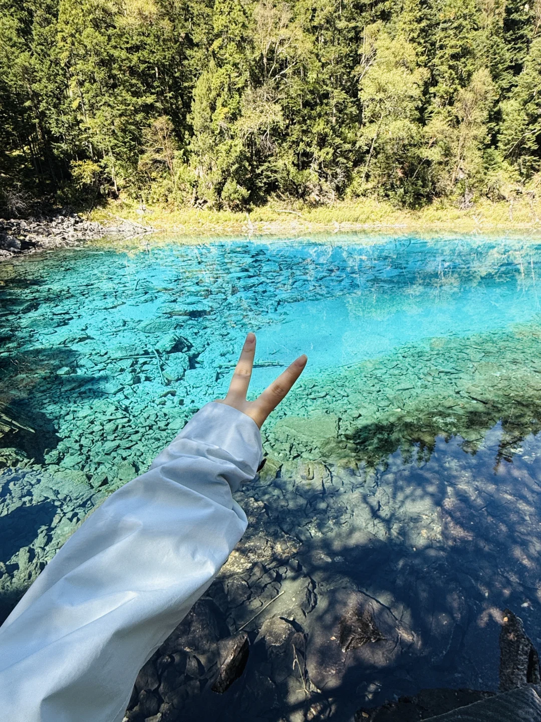 九寨沟刚回，不舍弃几个海子真不行