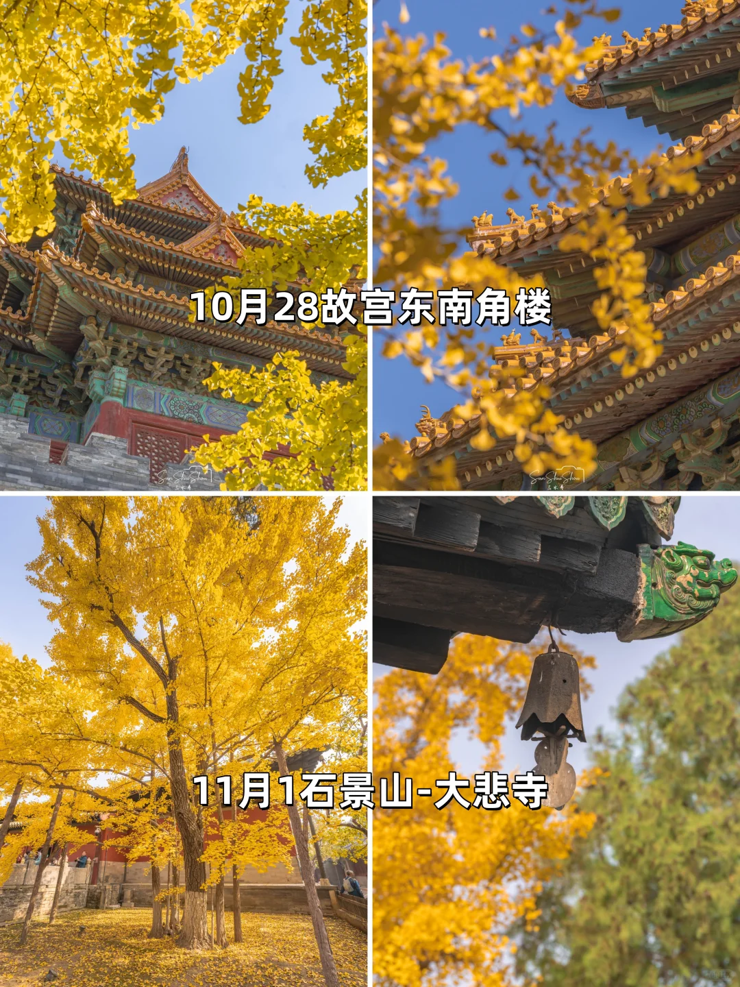 安排一个月！北京赏秋时间顺序与机位大全❤