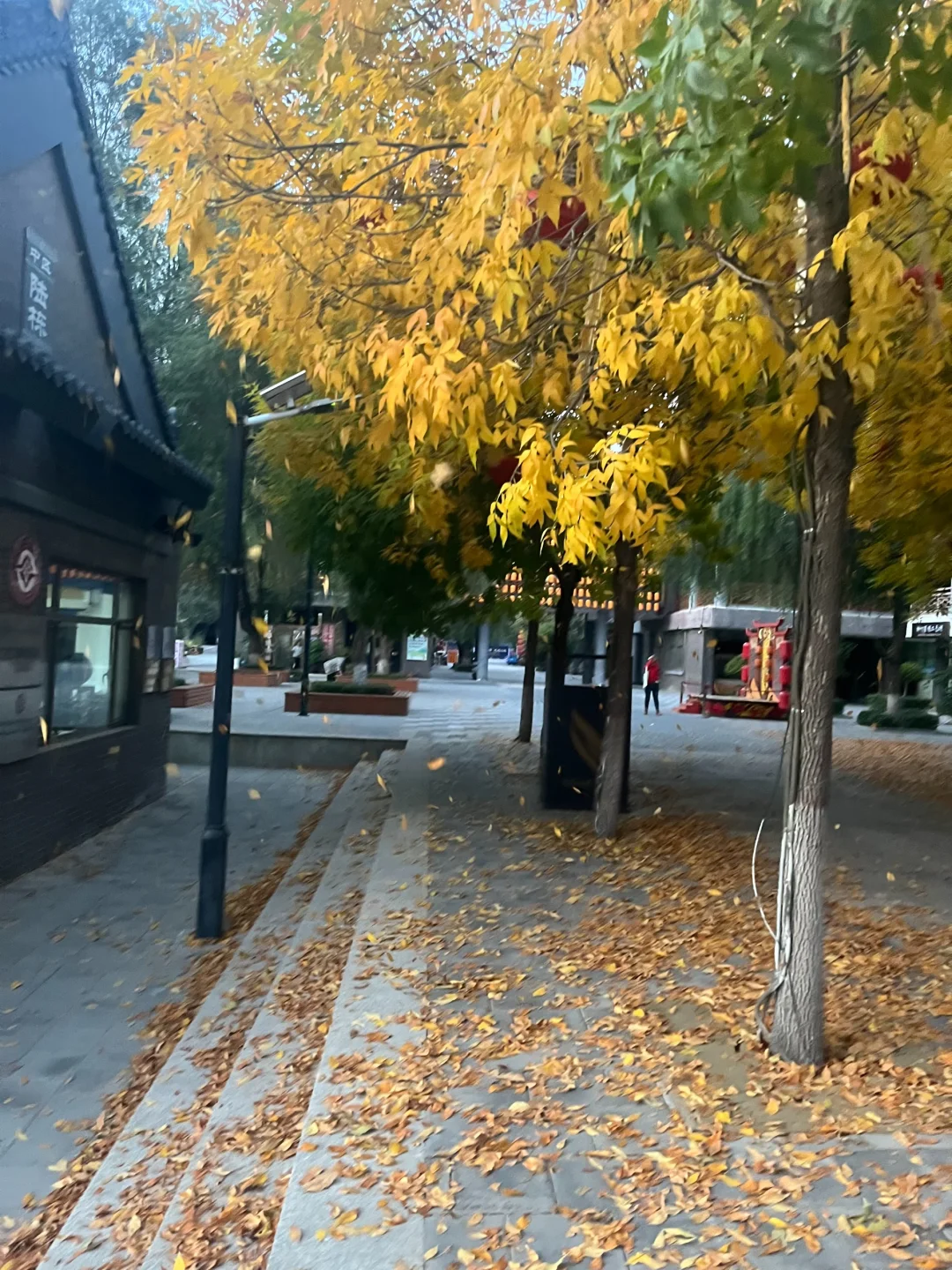 银川小众的旅游景点