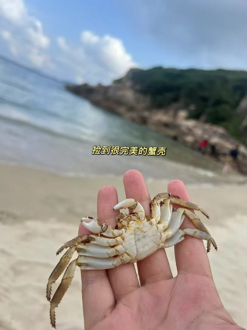 香港沉浸式回忆录&旅游攻略