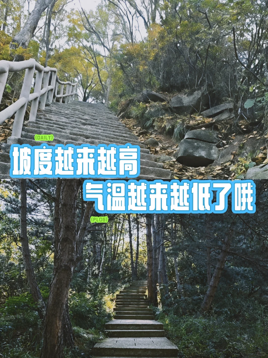 📣白石山西门绝对是小众宝藏入口