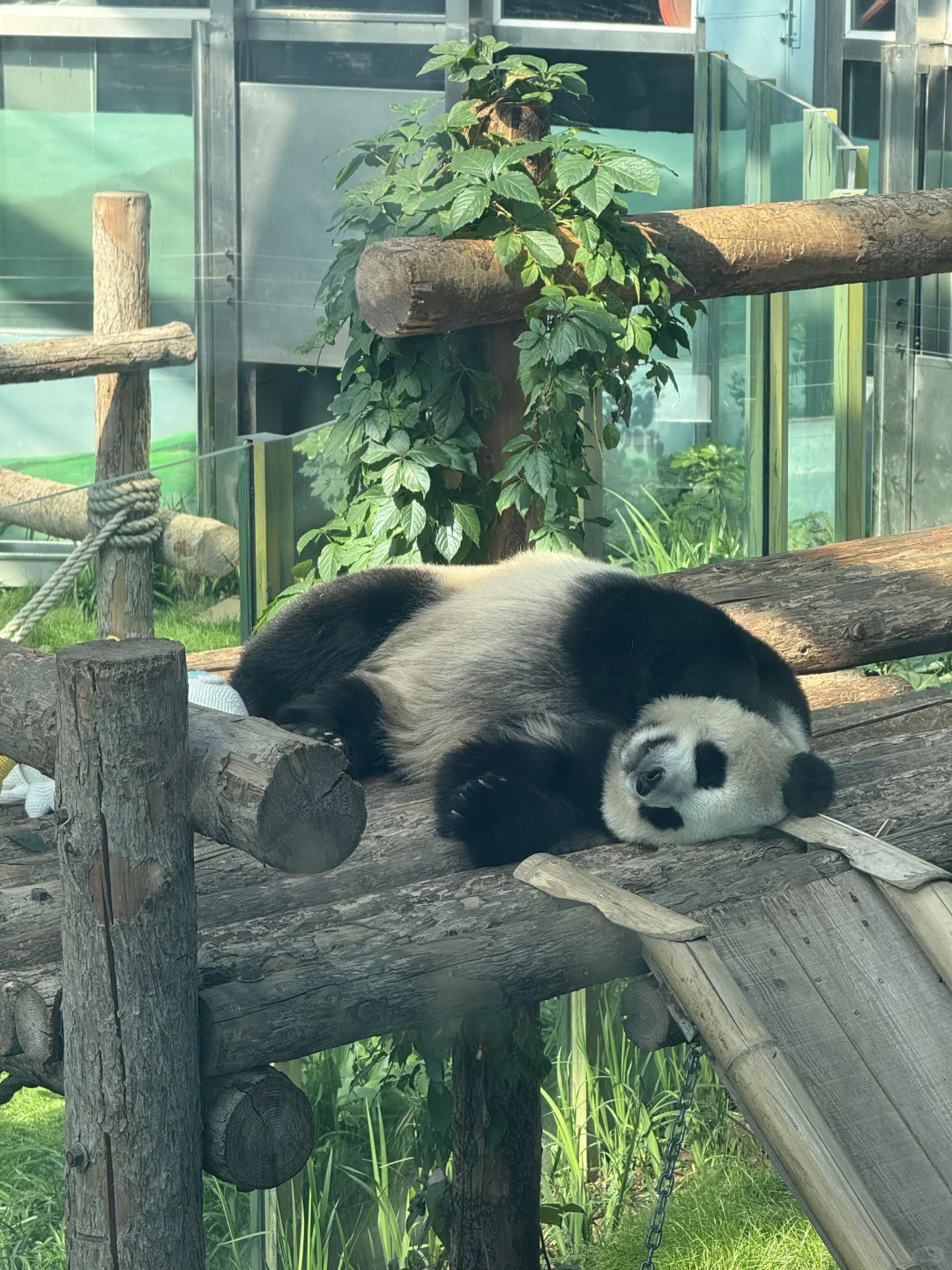 周末特种兵之大连