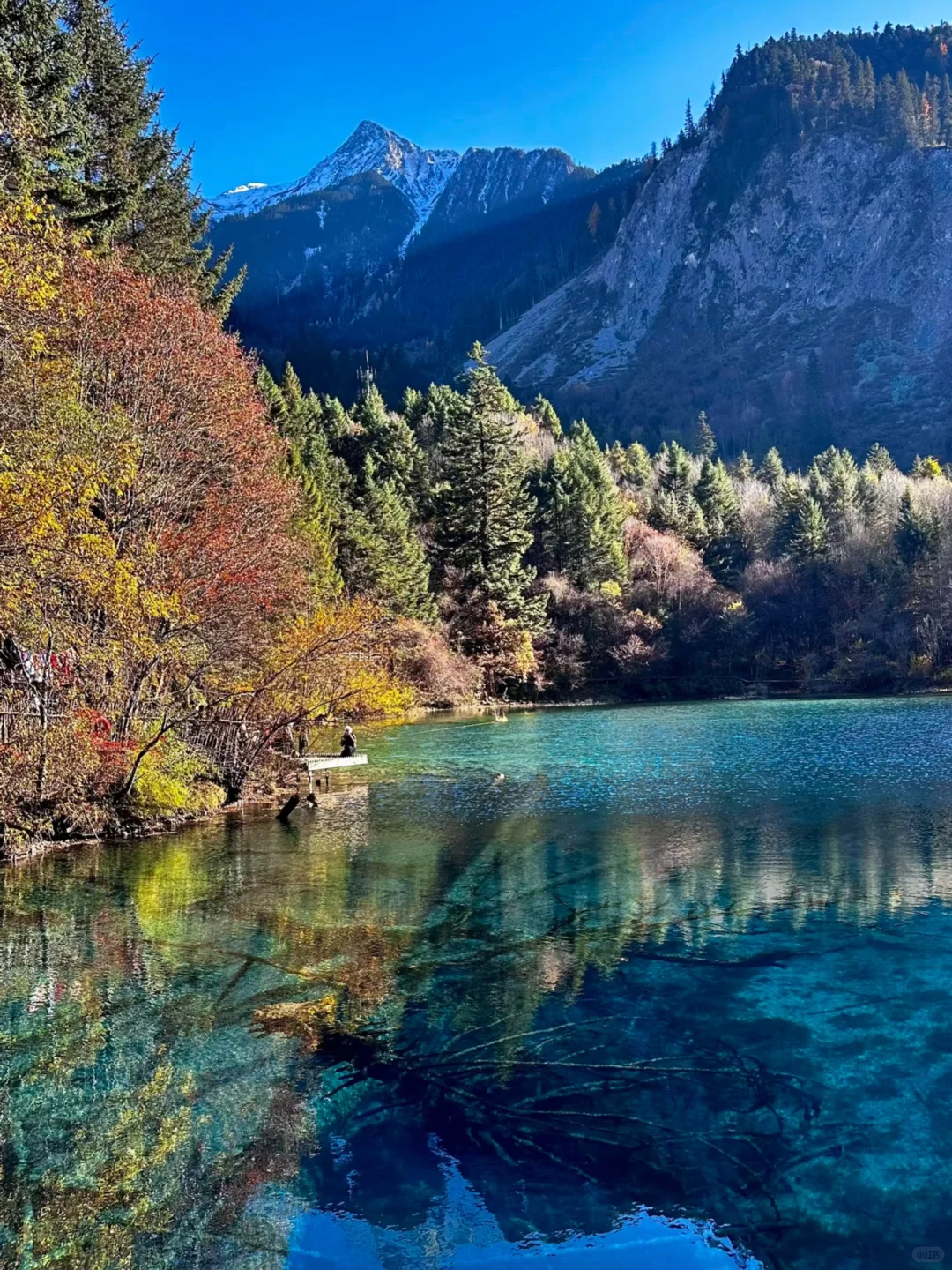 10-11月国内遛娃赏秋🍁不容错过的9大天花板