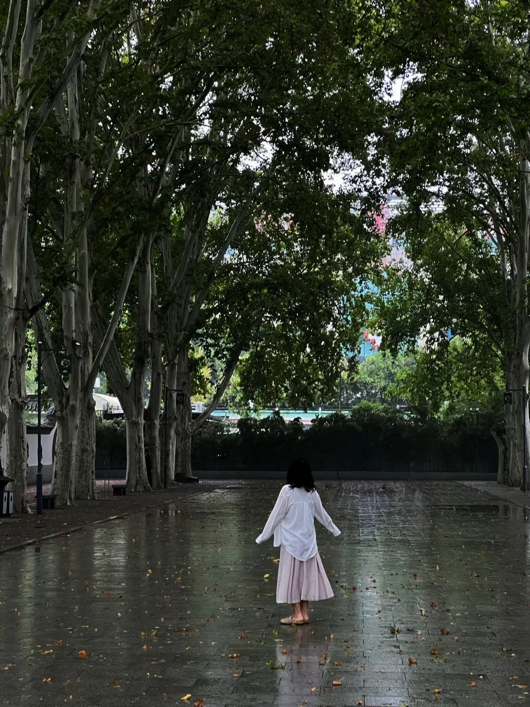 邯郸丛台| 🌧️雨水洗过的古台也太绝了吧！