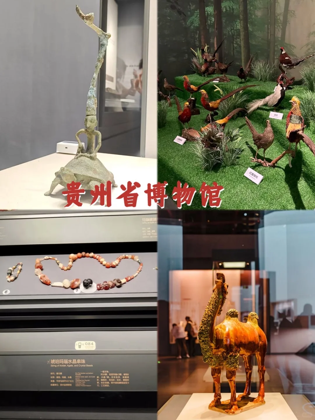 贵阳旅游攻略✅本地人熬夜整理
