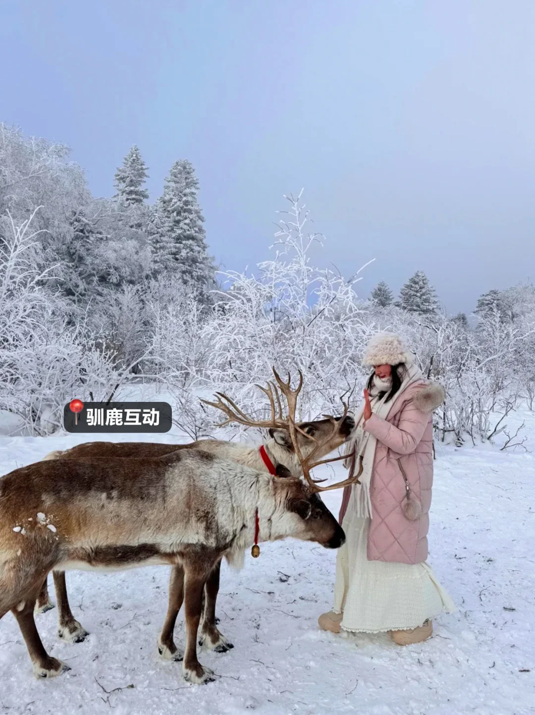 最新✅冬季长白山延吉纯玩小团车住票全含