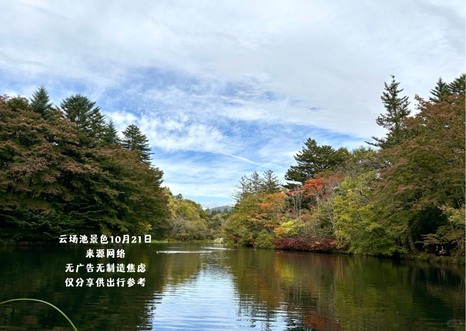 日本长野县红叶景点实况分享合集！