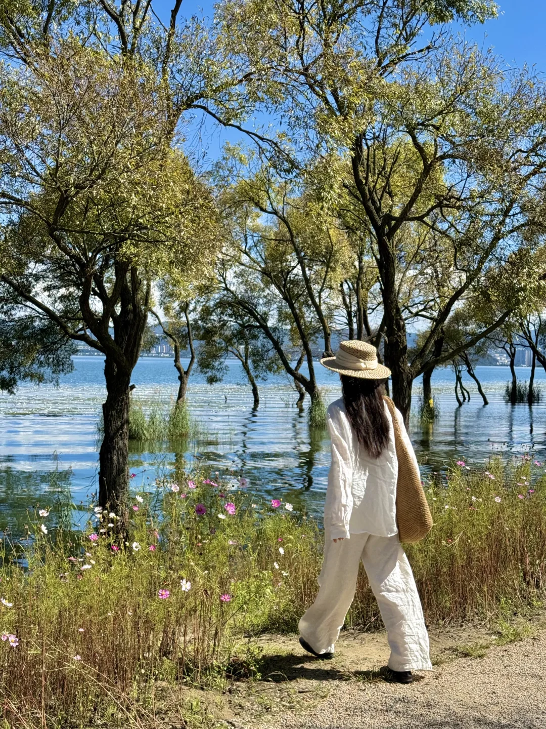 18张live图告诉你现在的大理有多美！附机位