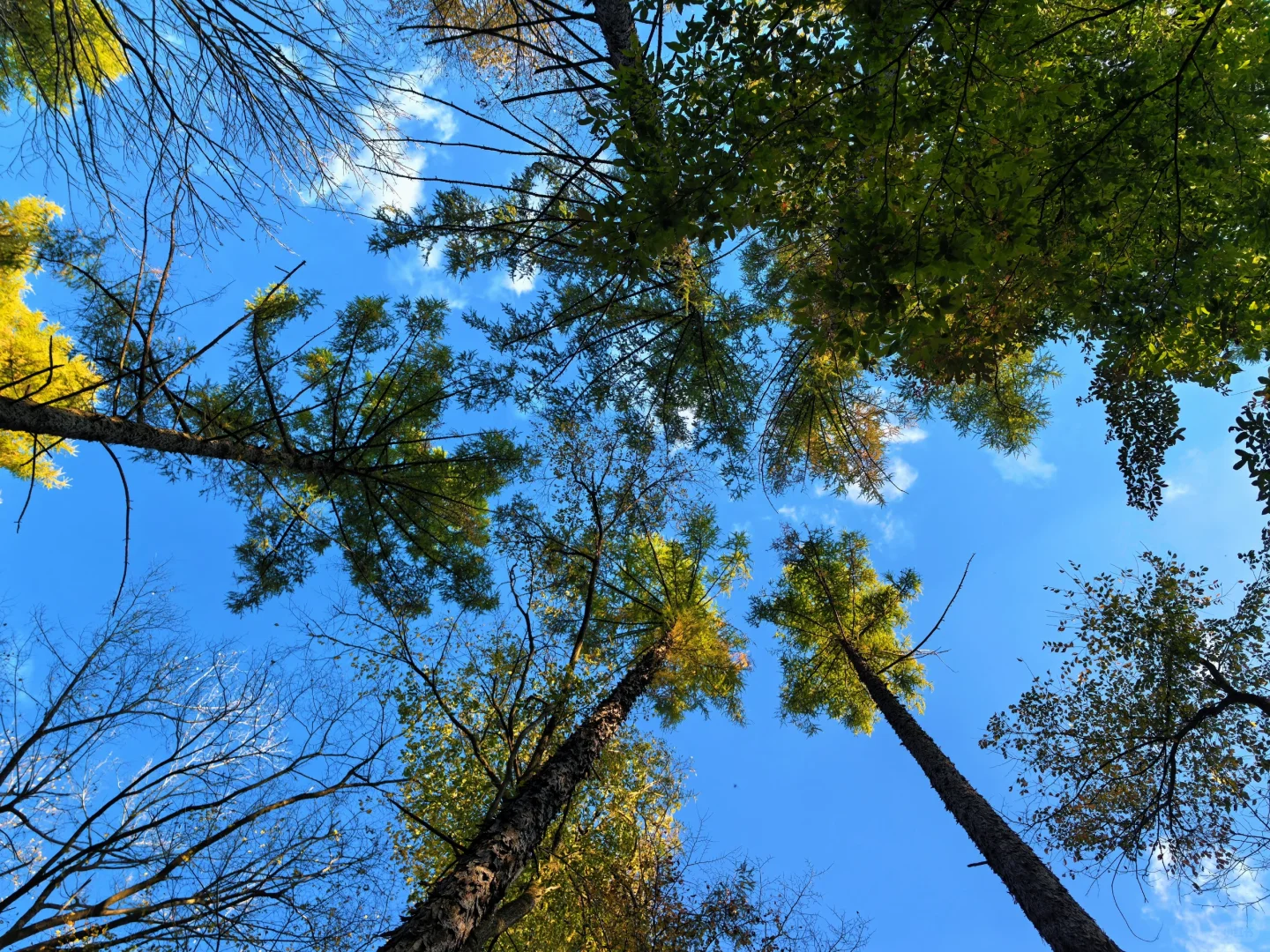 吉林通化龙湾景区游记
