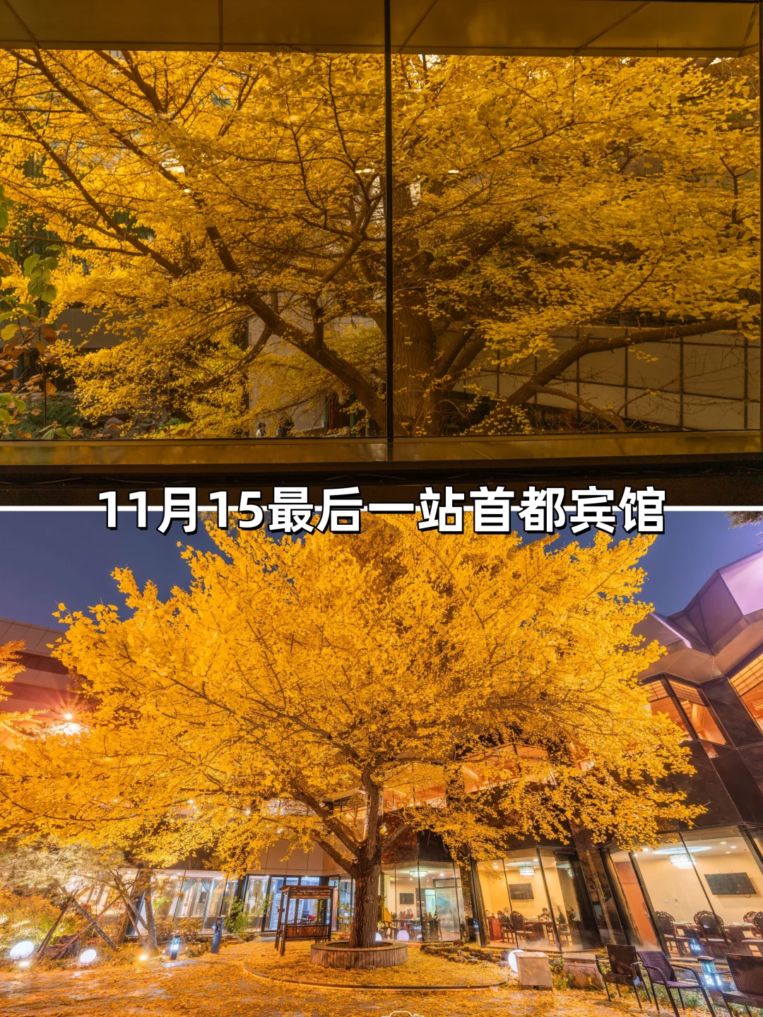 安排一个月！北京赏秋时间顺序与机位大全❤
