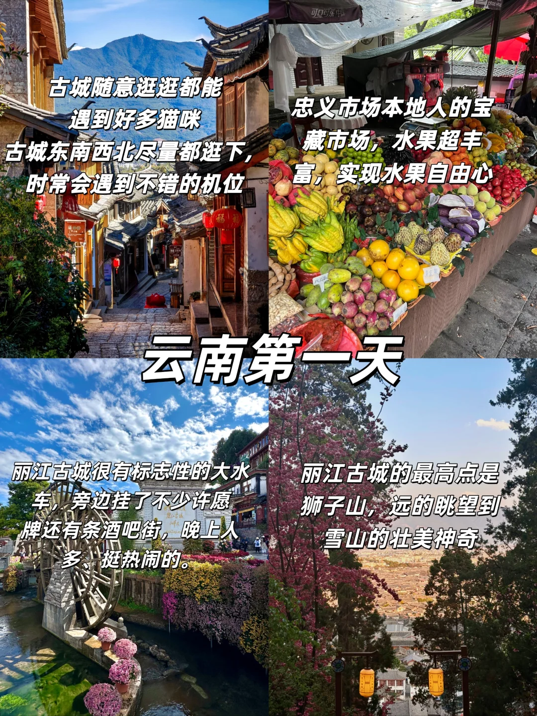 25岁女生✨一个人勇闯云南真实感受