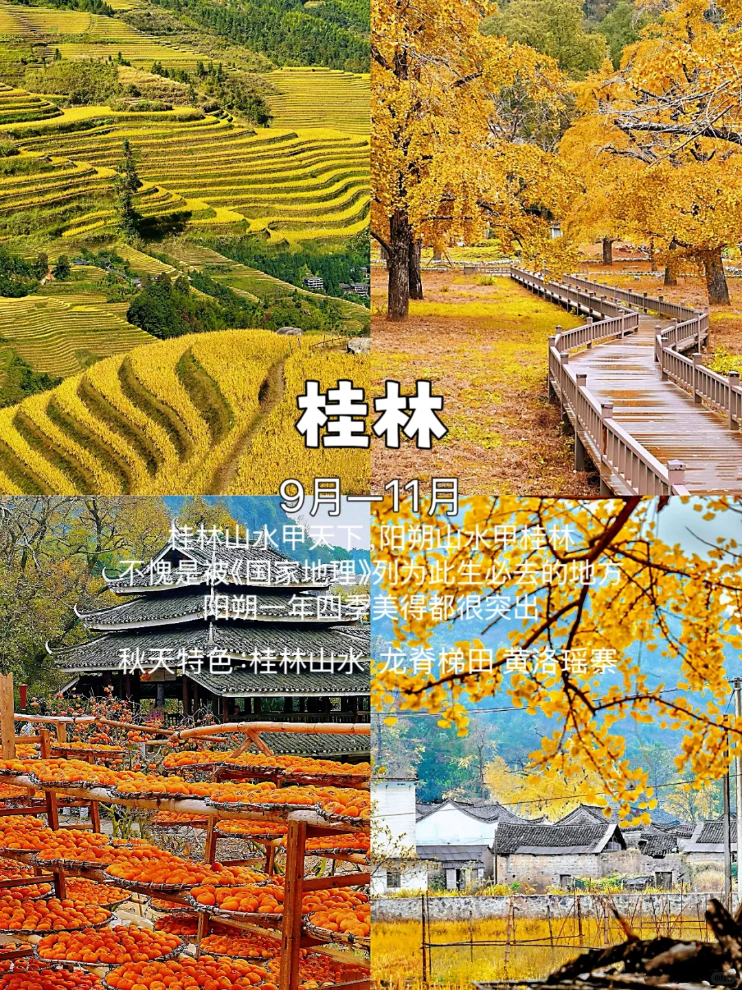 这个秋天，你打算去哪个城市玩