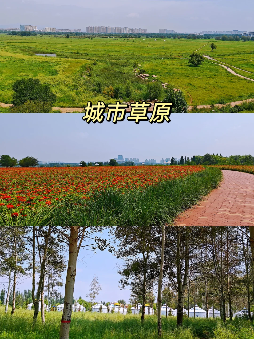 包头2日游|五当召+城市草原+南海湿地+包棉