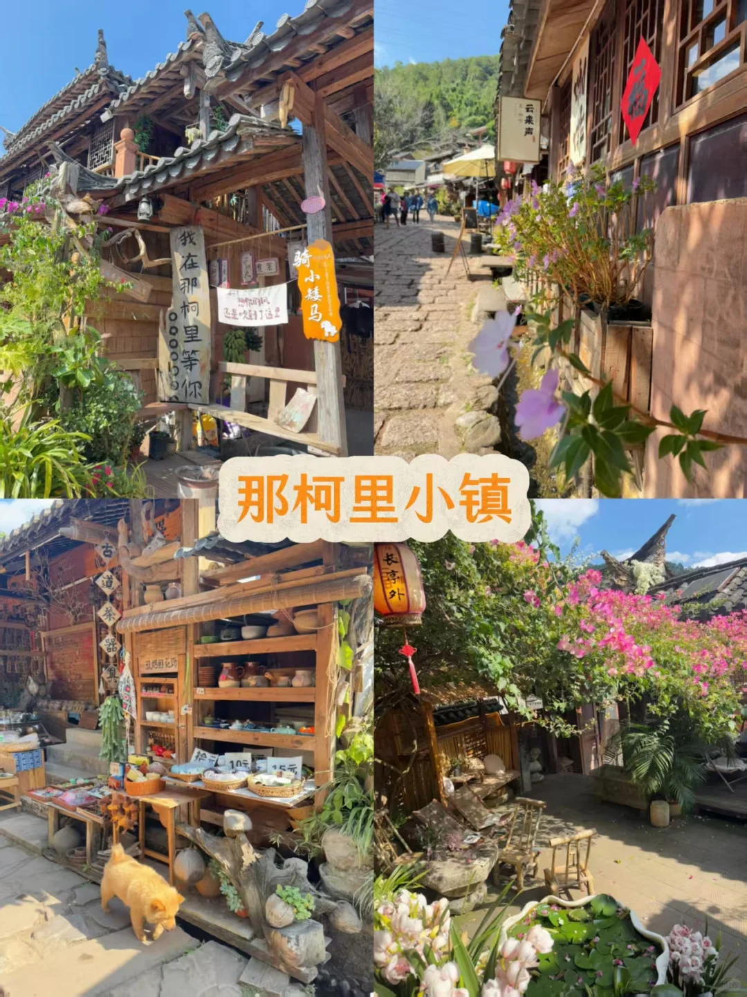 普洱旅游必打卡景点!小众又好玩❗️