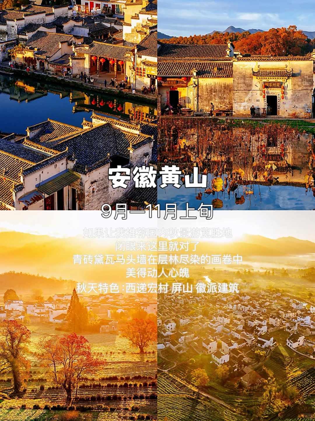 这个秋天，你打算去哪个城市玩